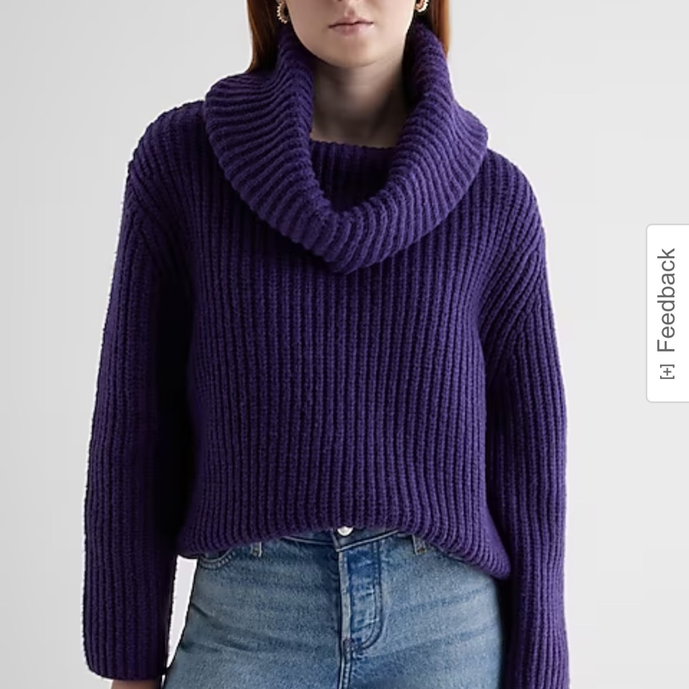 Express Sweater